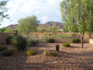 2366 W Muirfield Drive Anthem Arizona 85086