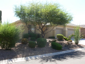 41821 N Bridlewood Way Anthem Arizona 85086
