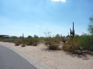 Serenity at Grayhawk 10