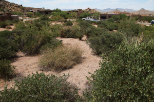 Pinnacle Canyon at Troon North 27