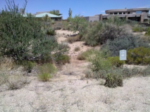 Pinnacle Canyon at Troon North 91
