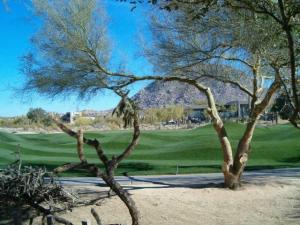7941 SqFt - 4/5.5 bed/bath - $1,650,000