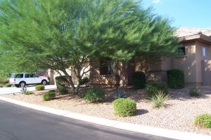 40703 N Bradon Way Anthem Arizona 85086