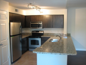 1300 SqFt - 2/2 bed/bath - $185,990