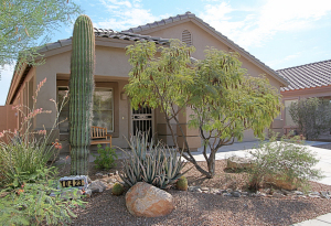The Preserve at McDowell Mountain home for sale