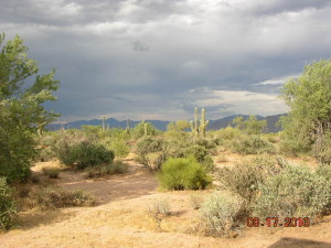 Granite Mountain Area Non-HOA Property home for sale