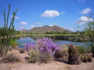 1609 SqFt - 2/2 bed/bath - $329,900