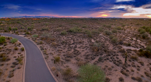 Prado Estates 13