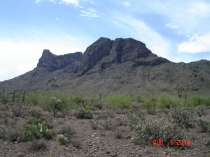 14785 PEAK Lane