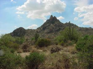 Estancia 257