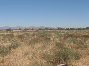 31474 BASELINE Road