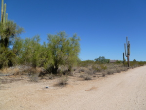 Pinnacle Peak Paradise 13