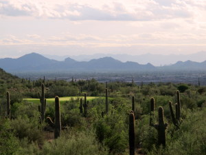 Upper Canyon at Silverleaf 1608