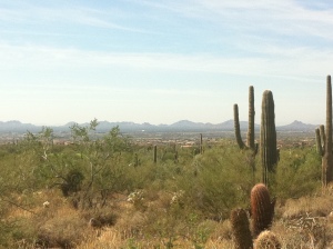 Upper Canyon at Silverleaf 1607
