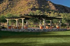 Arcadia at Silverleaf 3655