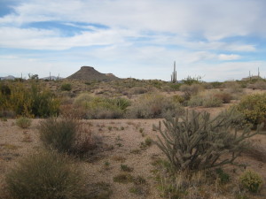 Talus 131