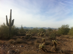 Horseshoe Canyon at Silverleaf 2203