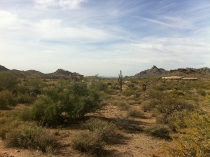 Non-HOA in Troon Area 20