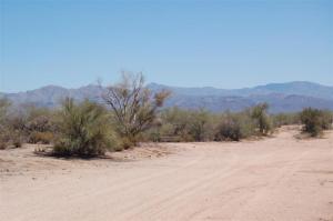 South of Rio Verde 1