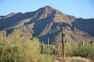 Upper Canyon at Silverleaf 1652