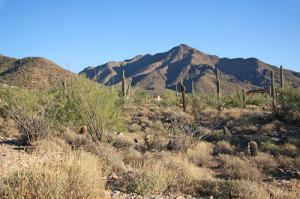 Upper Canyon at Silverleaf 1653