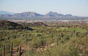Horseshoe Canyon at Silverleaf 2409