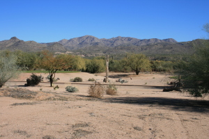 Tonto Verde 562