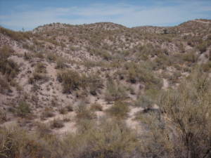30080 U S Highway 60 --