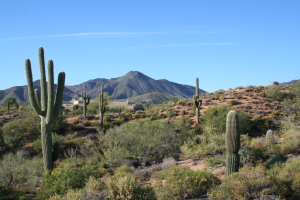 Mountain Skyline 41