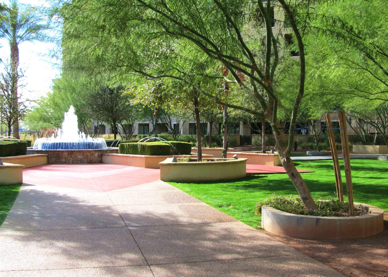 7175 E Camelback Road Unit 306 - 6772249