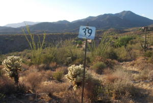 Ranch Highlands 39