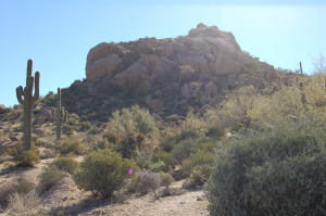 Pinnacle Canyon at Troon North 29