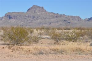 5xxxx Salome Highway
