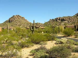Estancia 207