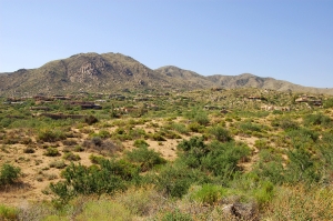 Tonto Hills 176
