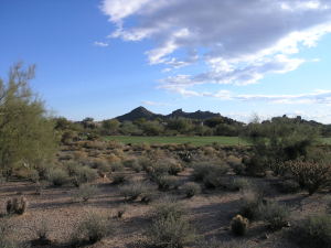 The Reserve at the Boulders 12
