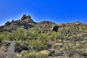 Estancia 263