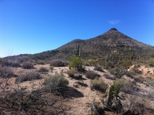 Mountain Skyline 8
