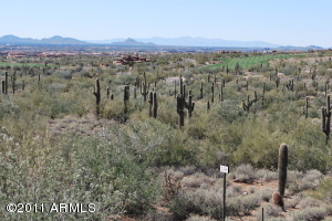 Horseshoe Canyon at Silverleaf 2414