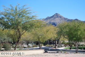 The Parks at Silverleaf 1313