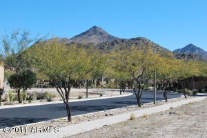 The Parks at Silverleaf 1218