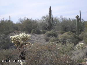 South of Rio Verde B