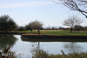 Tonto Verde 285