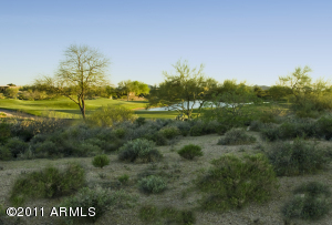 Gambel Quail 171