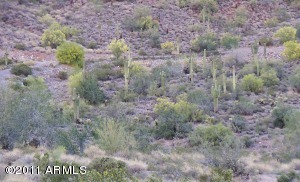 The Hillside at Silverleaf 1413