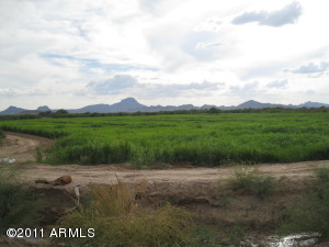 00 OLD HWY 80 & DESERT ROSE Road