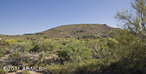 Gambel Quail Preserve 241