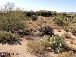 Estates at Legend Trails 28