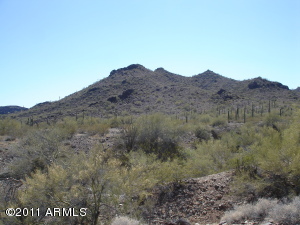 61.98 Acre Bullard Peak --