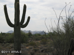 Whisper Rock 136
